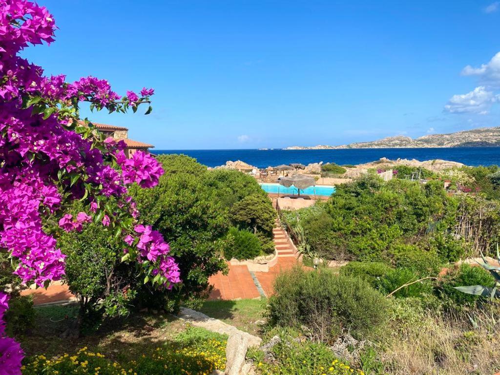 Casa Mughetto R5055 Seafront, Private Sea Access, Swimming Pool Villa La Maddalena  Exterior photo